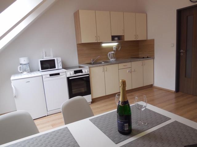 Apartmán Kamenice Kamenice nad Lipou Kültér fotó
